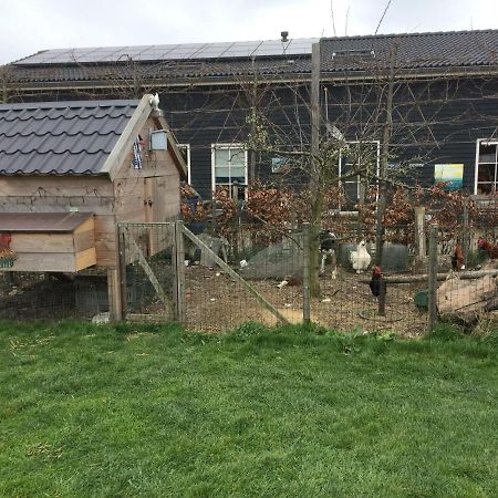 Hoeve Cornelia Berkel en Rodenrijs Luaran gambar